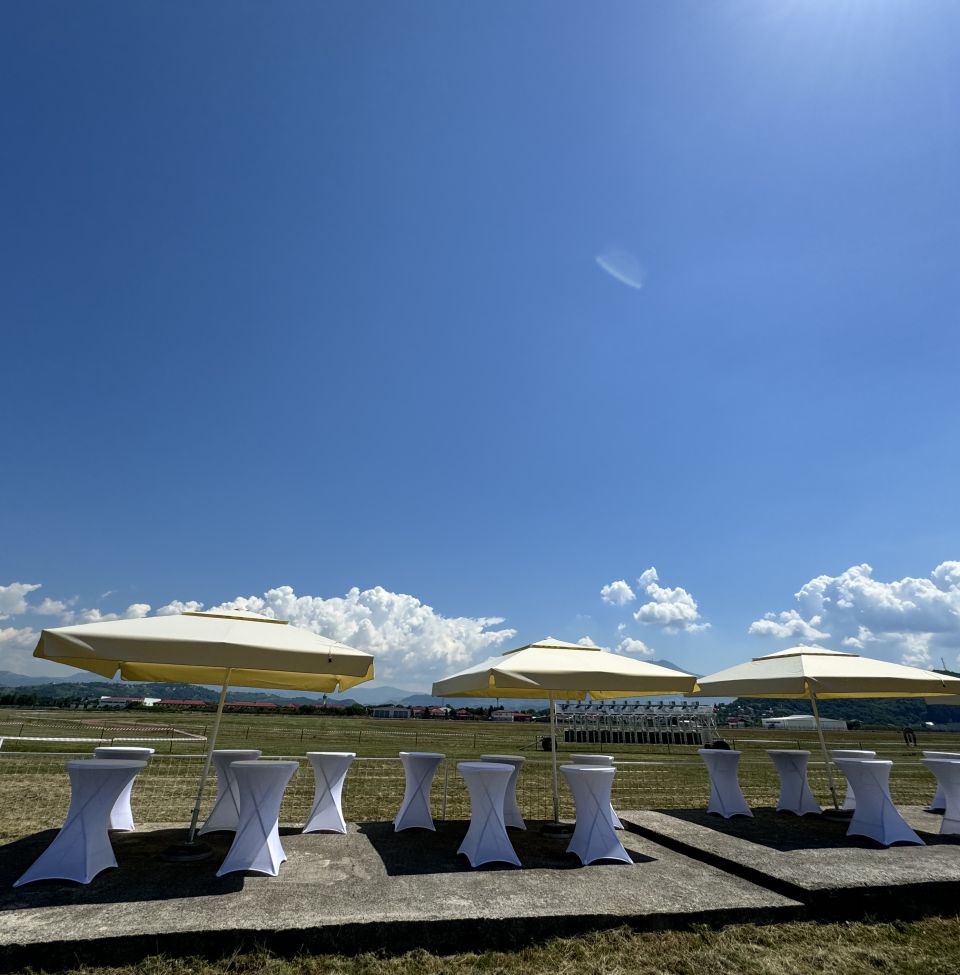 Raznovrsnost okusa i savršena organizacija: Vaš catering partner